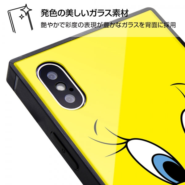 耐衝撃ガラスケース KAKU ワーナー