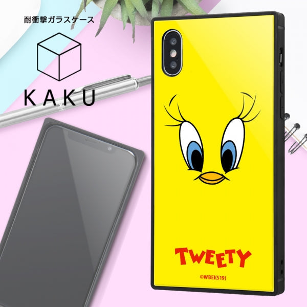 耐衝撃ガラスケース KAKU ワーナー