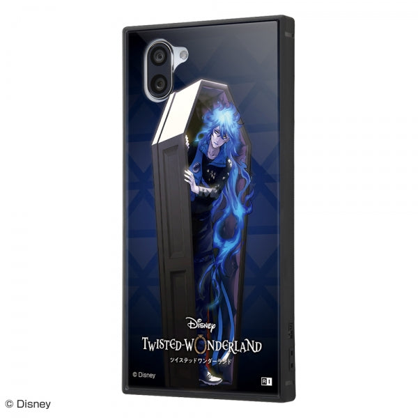 #カラー_『ツイステッドワンダーランド/イデア・シュラウド』