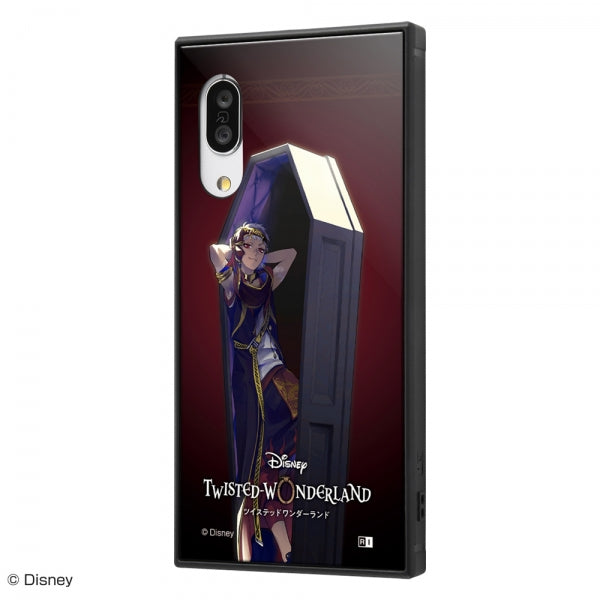 #カラー_『ツイステッドワンダーランド/カリム・アルアジーム』