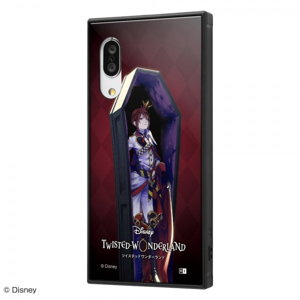 #カラー_『ツイステッドワンダーランド/リドル・ローズハート』