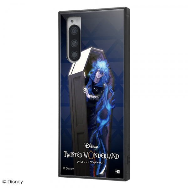 #カラー_『ツイステッドワンダーランド/イデア・シュラウド』