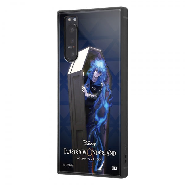 #カラー_『ツイステッドワンダーランド/イデア・シュラウド』