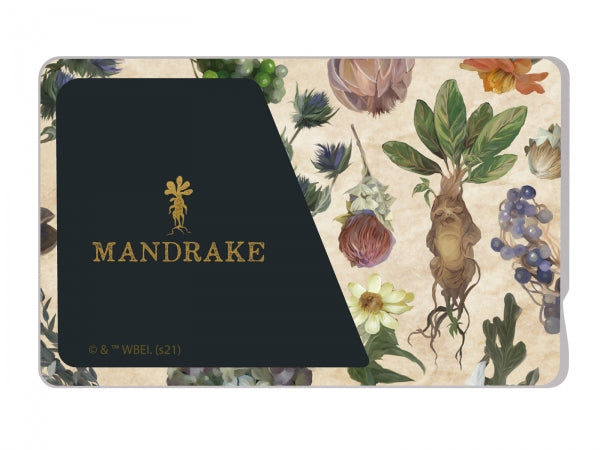 #カラー_ハリー・ポッター_マンドレイク