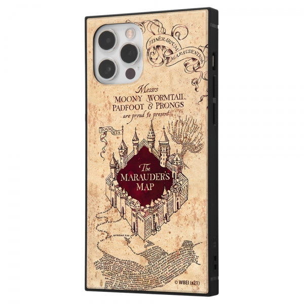 #カラー_忍びの地図