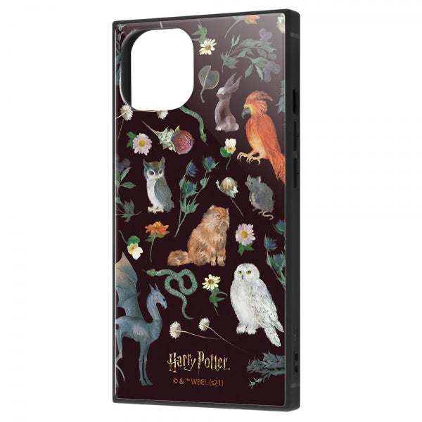 #カラー_魔法動物