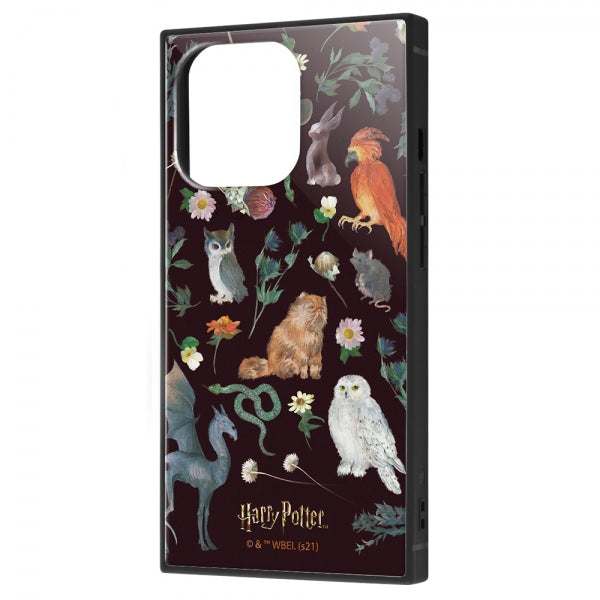 #カラー_魔法動物