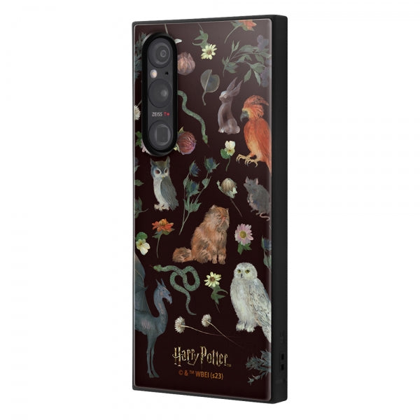 #カラー_魔法動物