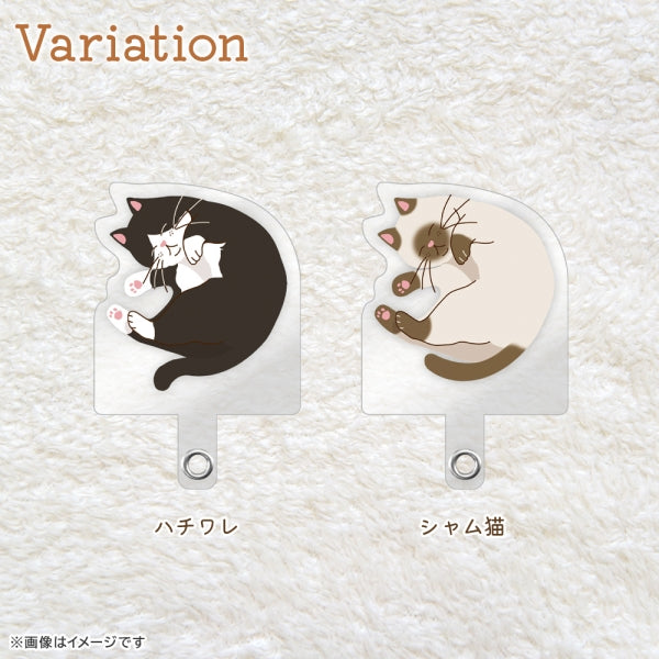 ダイカット ストラップホルダー