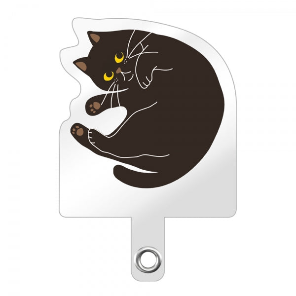 #カラー_黒猫