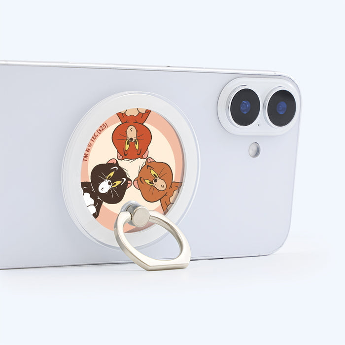 #カラー_3匹の子猫