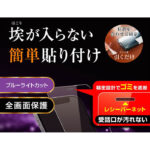 ガラスフィルム 防埃 10H ブルーライトカット レシーバーネット付