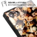 耐衝撃ガラスケース KAKU グレムリン