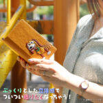 『ディズニー・ピクサーキャラクター』/手帳型 FLEX CASE ポップアップ