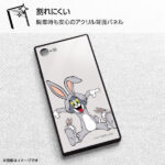 『WB 100th Anniversary』/耐衝撃ケース KAKU トリプルハイブリッド